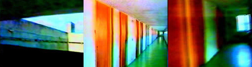 Apolonija Šušteršič, Private Corridor – Public Toilets